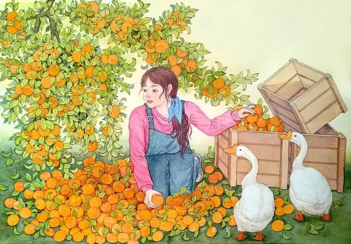 摘橘子|插画|创作习作|茹果rg - 原创作品 - 站酷 (zcool)