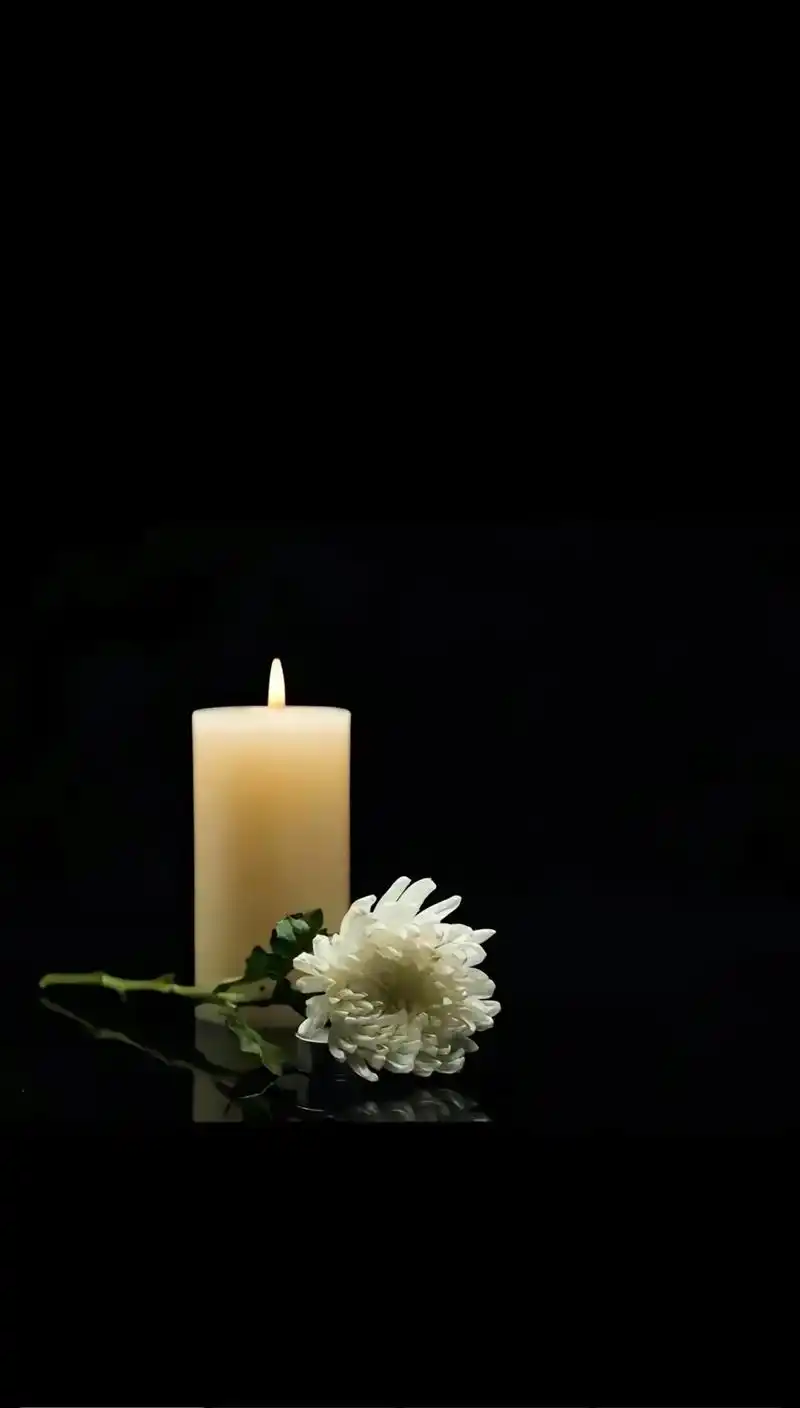 点亮一盏心灯,照亮天堂的路,此别余生在无您,在叫婆婆无人应, - 抖音