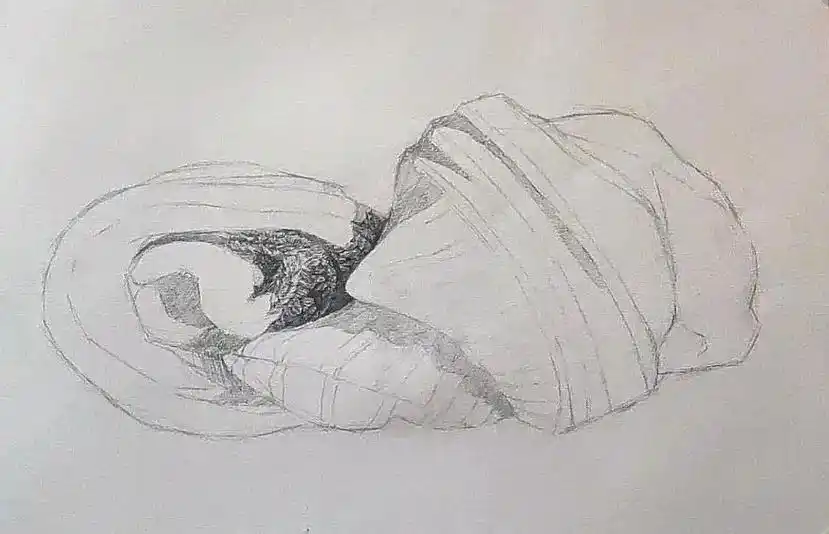 精微素描静物围巾教程分享细节步骤艺术美术.#创作灵感 #小y - 抖音