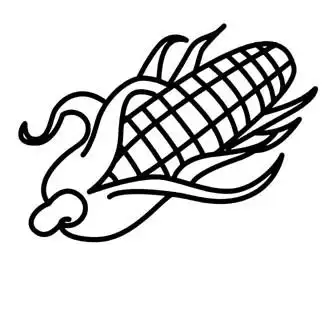玉米简笔画粮食玉米粮食简笔画步骤图片大全