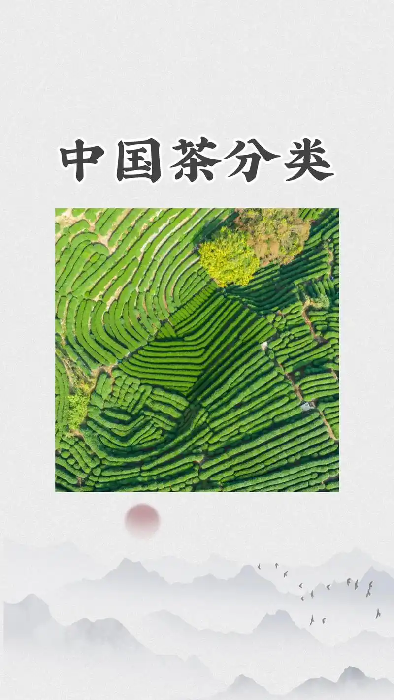 学茶时间到,大致茶分类.#茶生活 #茶叶 #抖音图文来了 - 抖音