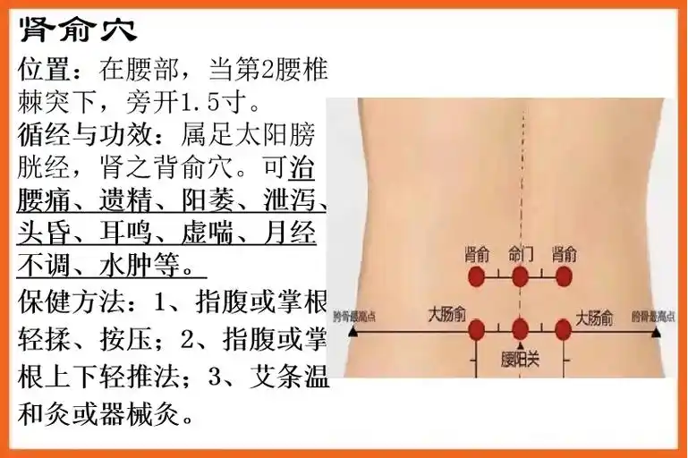 腰痛又叫腰脊痛,有急,慢性之分;中医认为腰痛多因年老体虚,外感病邪