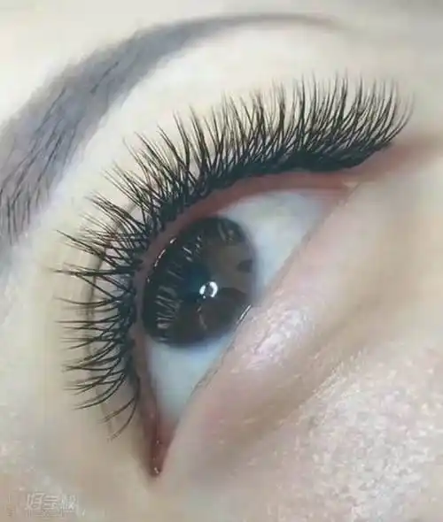 太原悦妍国际轻奢美学美睫作品欣赏