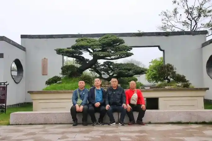 看不清一点都看不清 作者赞过 1月前·山西 1 分享 回复 任剑武