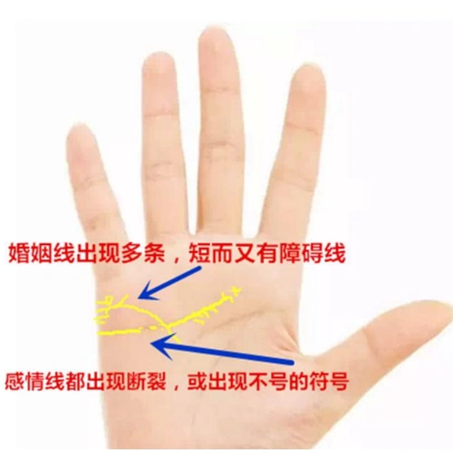婚姻线出现多条短而又有障碍线的婚姻注定不顺失败则是必然