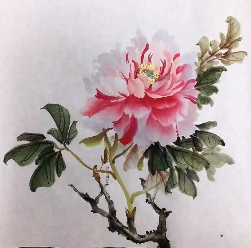 国画写意牡丹 #因为热爱所以坚持 #国色天香牡丹花 静默 - 抖音