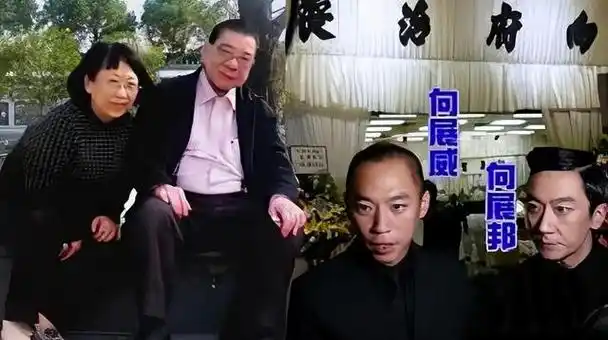 67新义安龙头向展伟(卧虎藏龙的向氏家族发家史)