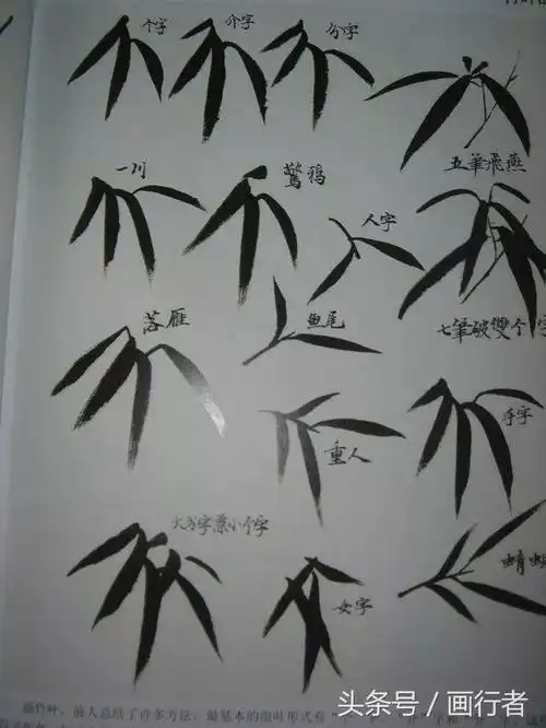 国画水墨画竹子的各种入门技法画法步骤图文详解