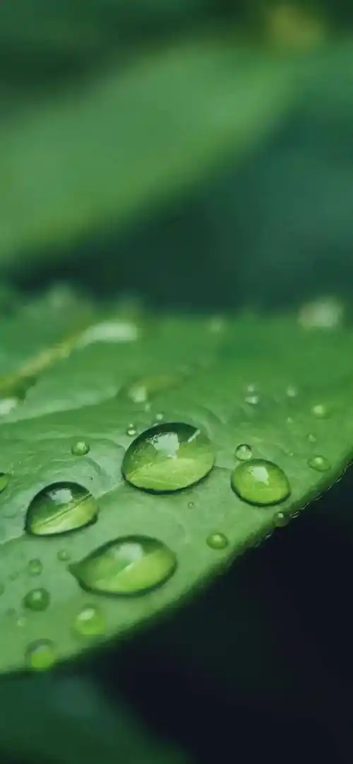 这些抖音高清壁纸绝了