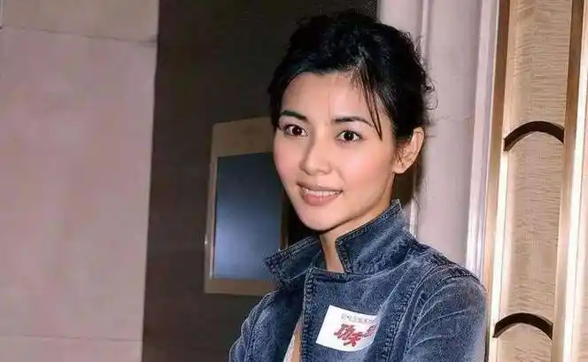 蒙嘉慧:打败梁咏琪,和郑伊健结婚8年,49岁没孩子也幸福_母亲_策划