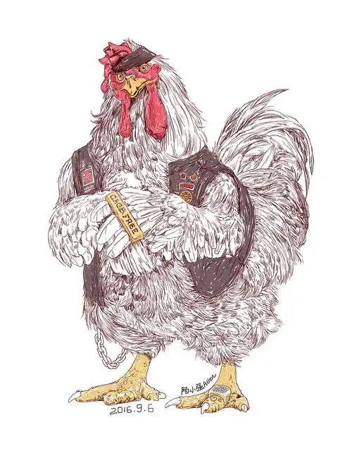 陌小强插画《公鸡母鸡》