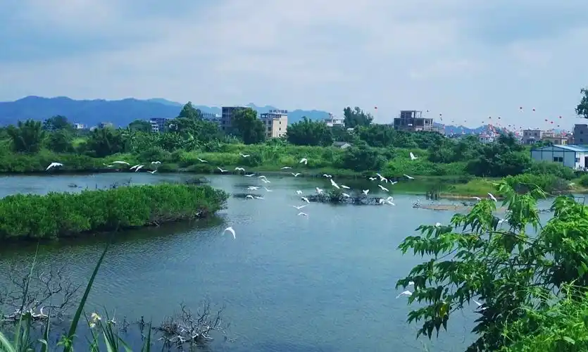 盐洲岛——美丽惠州滨海游