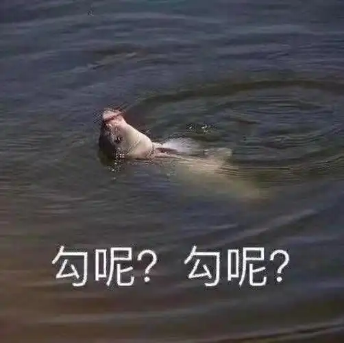 勾呢?(鱼:快来钓我呀) - 发表情 - fabiaoqing.com