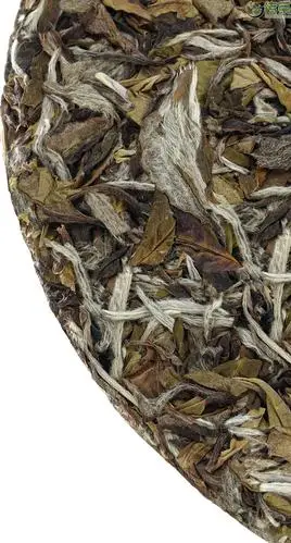 白茶界的大益集团六妙有机白茶7061福鼎首款有机白茶已售馨7161传承