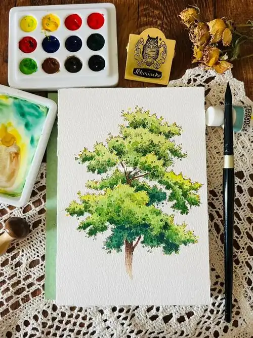 95300钢笔淡彩树木练习