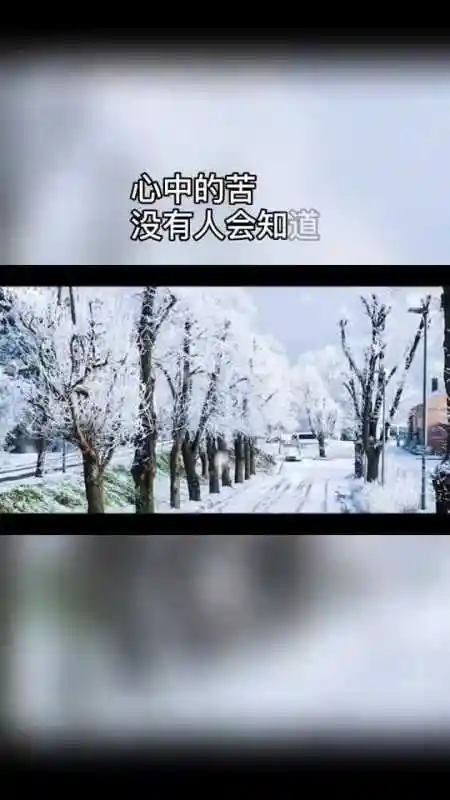 心中的痛没有人会懂,所有的一切只能一个人默默的承受