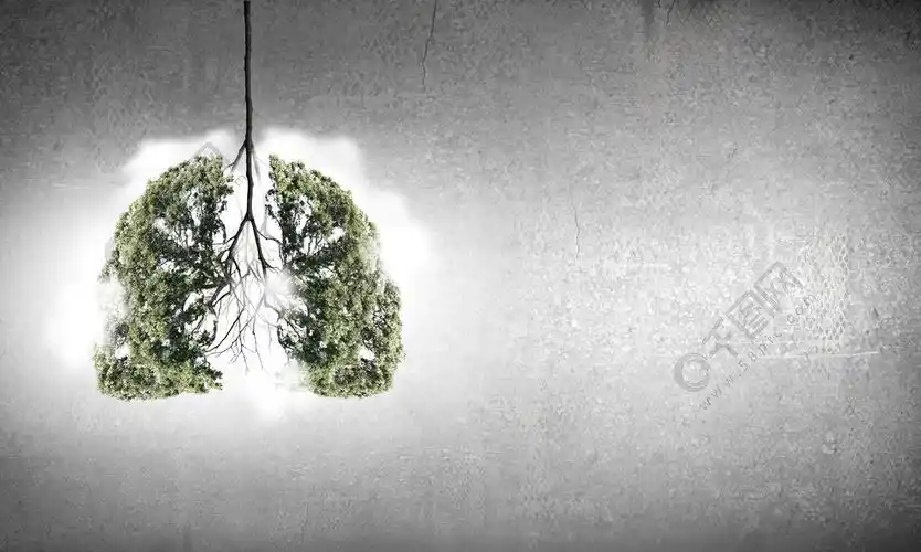 空气污染绿树形状像人的肺的概念性表示图