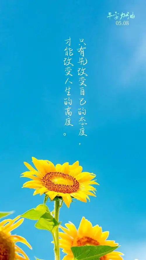 内心充满希望,才可以撑起一身傲骨.