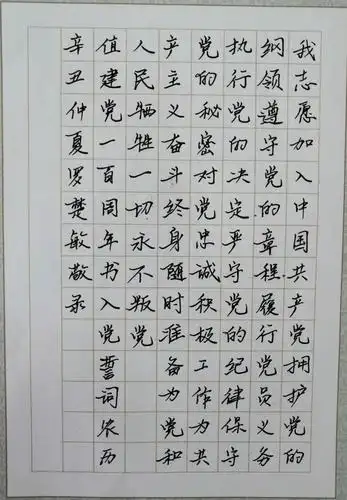 王永涛《七律61长征》机械1908班 迟程《入党誓词》书法作品大家一