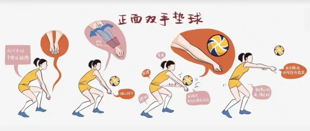 详解!排球垫球的动作要领及练习方法!