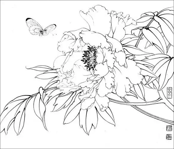 可以直接临摹学习的,工笔白描作品欣赏