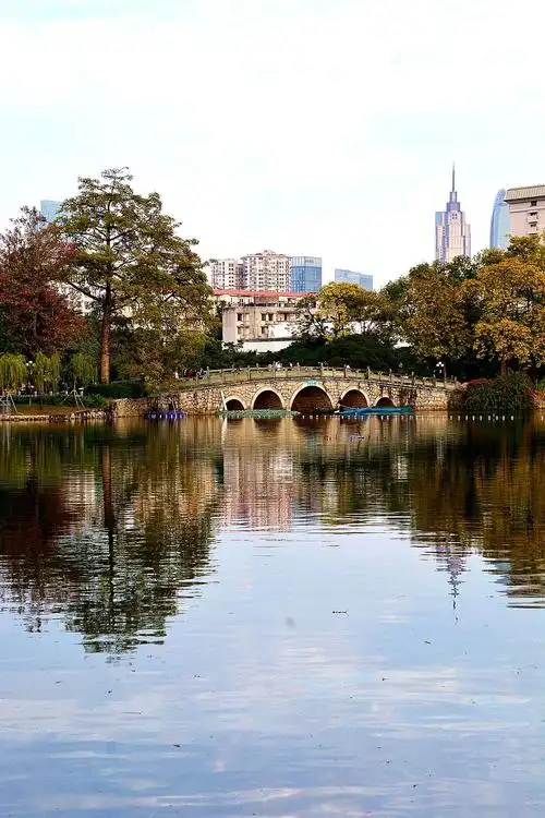 广州宏城公园花盛开