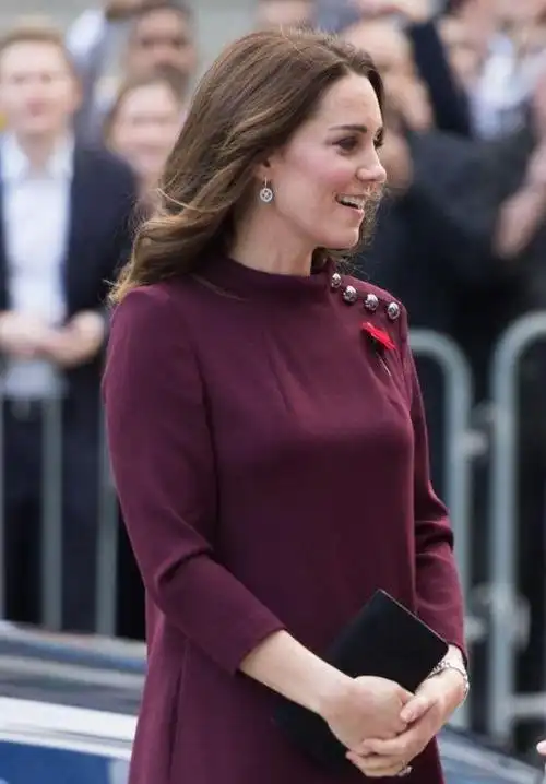 凯特王妃神秘现身!粉丝惊呼欢呼,正脸照曝光!|詹姆斯|威廉王子|英国王