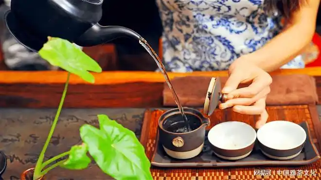 抬头观云喝茶垂首听雨赏花