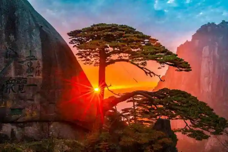 天下名山很多,而黄山只有一座,这里不止是山