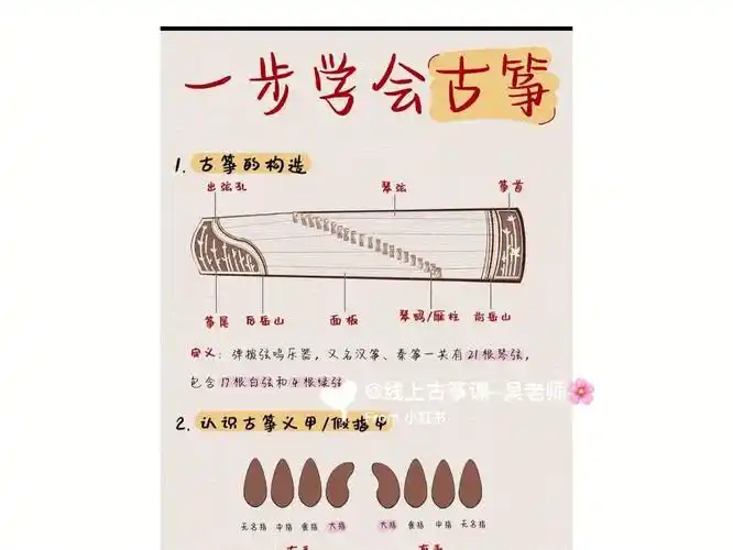 新手学古筝难5张图教会你学古筝的进
