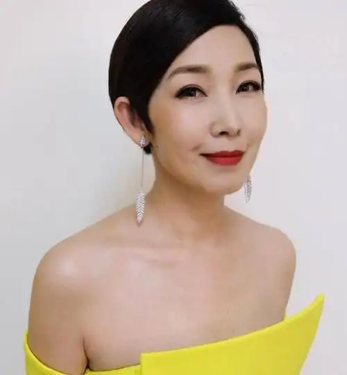 58岁黎芷珊与郑伊健,梁家辉的情缘,出轨陈小春后为何仍独身?