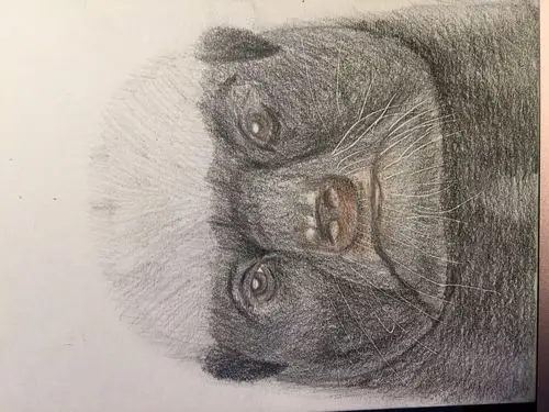 彩铅33号之平头哥