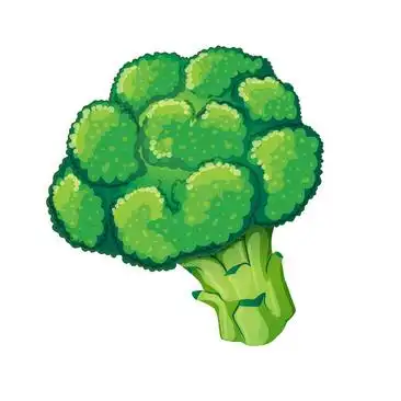 卡通西兰花png素材卡通西兰花png素材素描西兰花素材素描西兰花素材