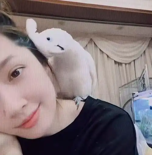 郭碧婷罕见晒动态!素颜出镜珠圆玉润,鹦鹉与她贴贴 -zaker新闻