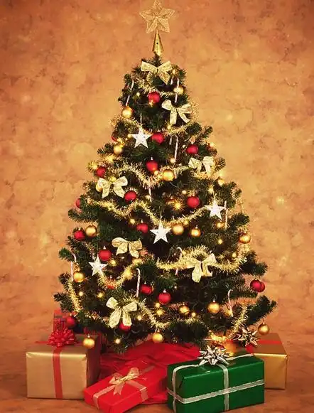 数学公式算出怎么搭配漂亮圣诞树的装饰方案