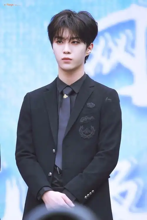 范丞丞网易云国风极乐夜