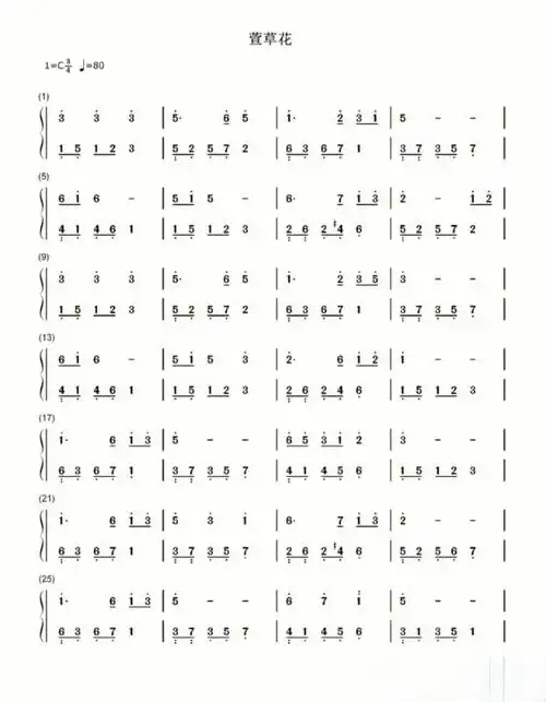 钢琴谱萱花草简易版本
