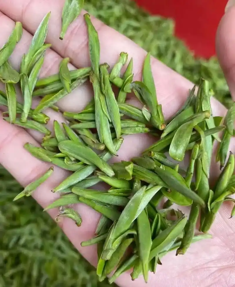 品鉴人生.十大名绿茶最新排名 绿茶是没有经过发酵的茶,绿茶有 - 抖音