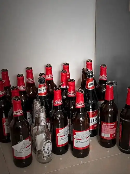 想拥有解放日记的同款酒瓶房间