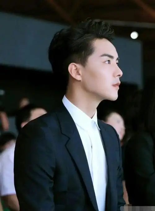 娱乐圈男星最完美侧脸照鹿晗超越杨洋第一旷世美颜