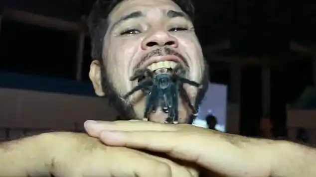 【环球网综合报道】口含活蜘蛛,与蛇共舞都是极其危险的事情,但是巴西