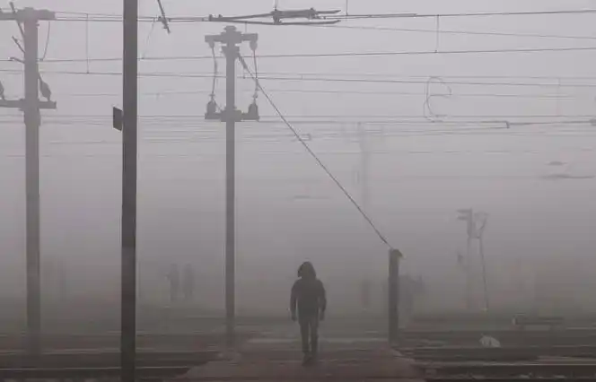 新德里遭遇低温和雾霾天气__财经头条