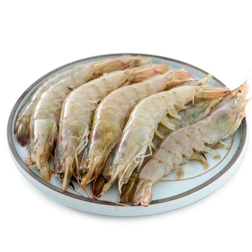 【活鲜】御鲜之王 海白虾鲜活 新鲜大虾 海鲜水产活虾 (大号) 500g 20