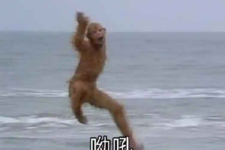 找一个表情包已找到