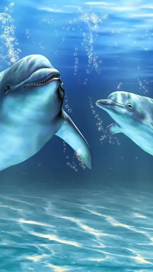 两只海豚,水下,气泡,艺术图片 iphone 壁纸