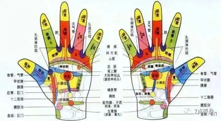 手指这样抓几下就可预防中风调理便秘站走坐卧都能练