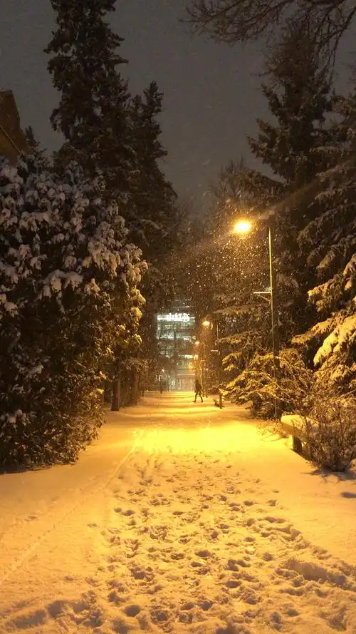 40度的夏天让人怀念下雪的夜晚