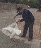 143_169gif 动态图 动图