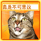 真是不可思议 qq文字表情 qq恶搞表情 qq表情大全 qq表情