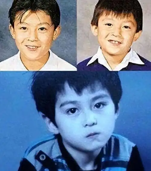 鉴定报告成唯一真相|谢振轩|古典乐|粤语歌曲|王菲谢霆锋_网易订阅